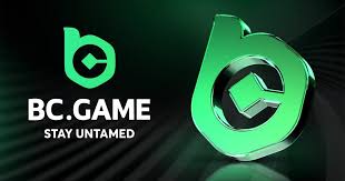 The Future of Online Gaming Exploring the BC.Game Casino Platform