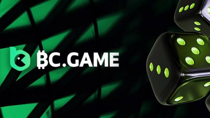 Exploring the BC.Game Platform A Comprehensive Guide to Crypto Gaming